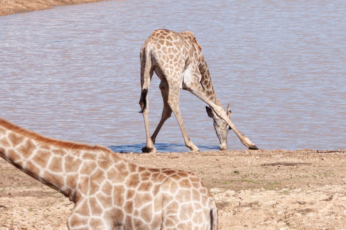 IMG 3979 lightroom 783